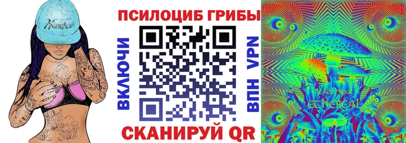 Псилоцибиновые грибы GOLDEN TEACHER  Купить  Бикин 